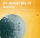 Cy-Quant MV-TF Activity Brochure
